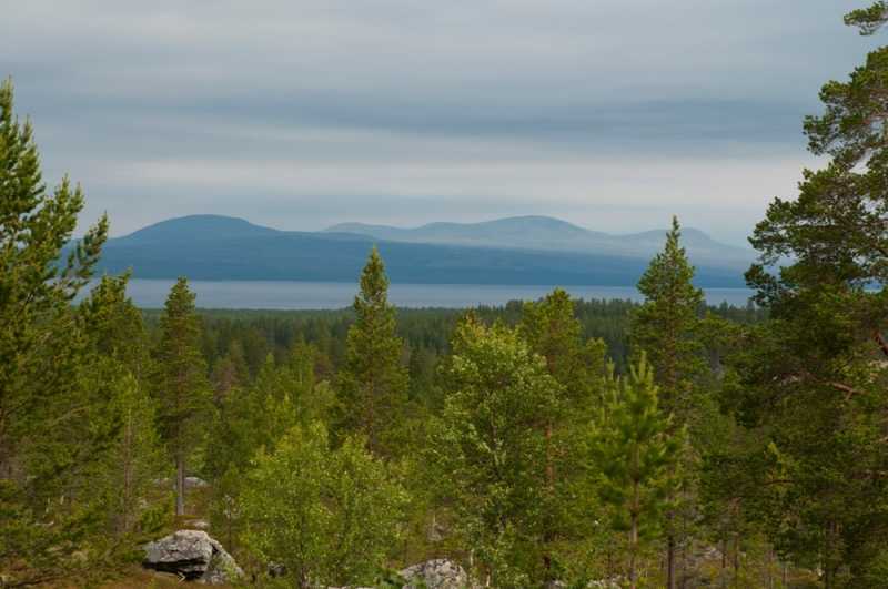 łowienie w skandynawii